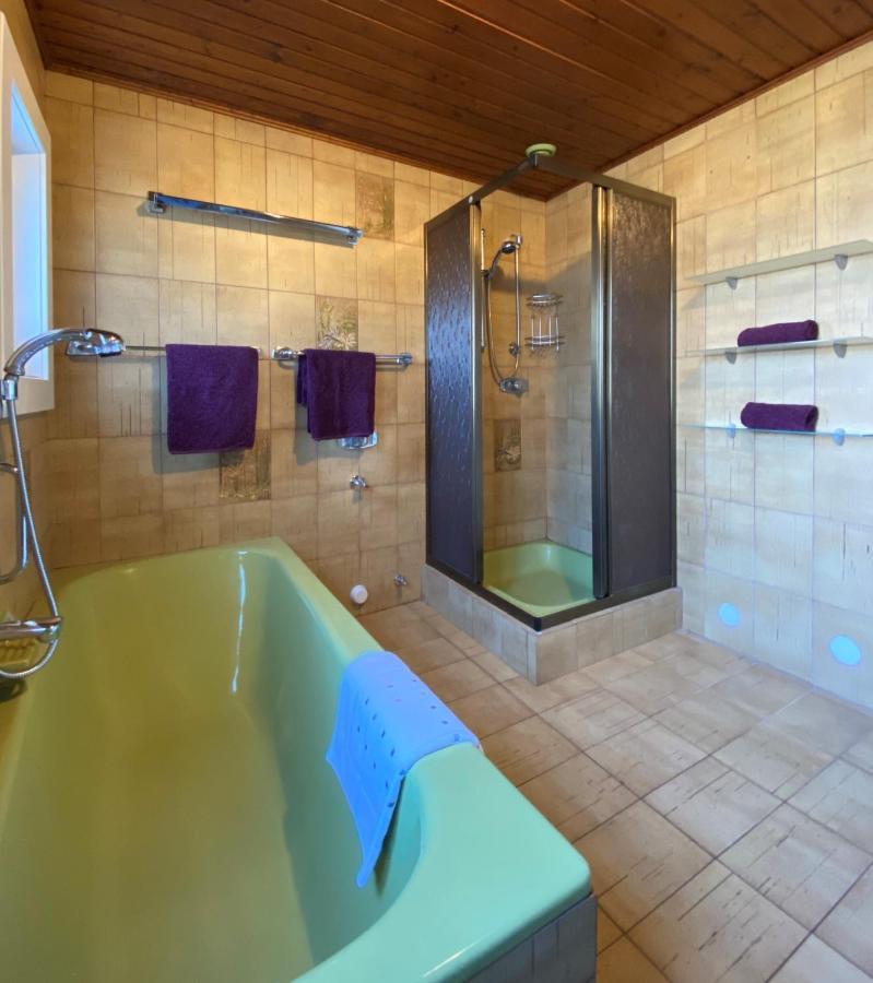 פלד אם סי Wohnung Feldseeblick 1 מראה חיצוני תמונה